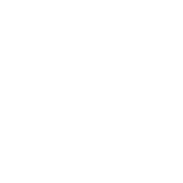 Wiesners Meisterwerkstatt